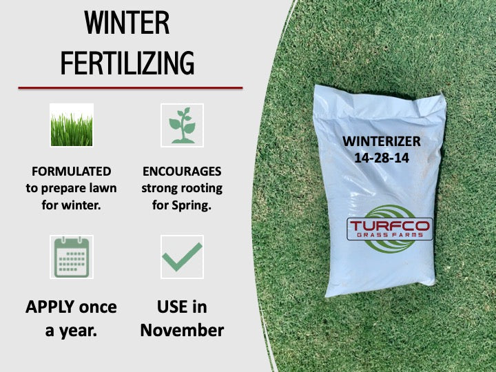best fertilizer for ice plant Winterizer Fertilizer for St. Augustine Floratam and Bermuda Grass – Turfco Grass Co, Inc