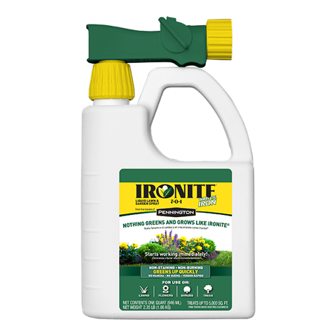 Ironite All Around Fertilizer with Iron for St. Augustine Floratam and Bermuda Grass